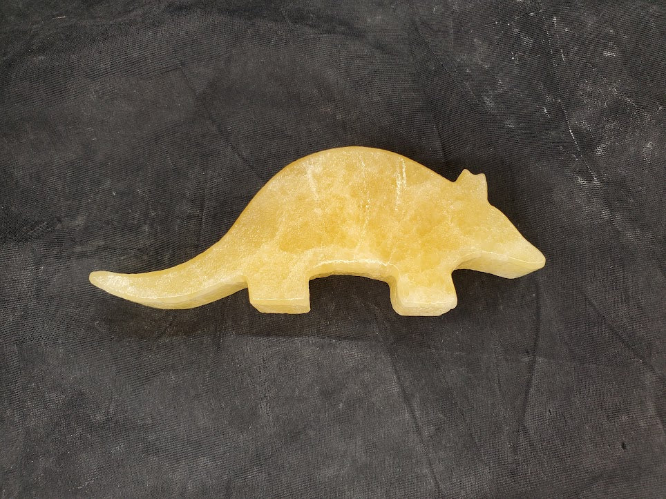 Armadillo