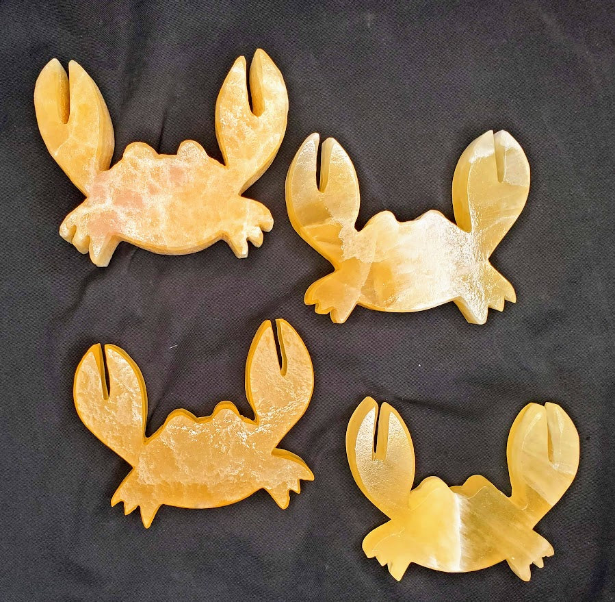 Crab