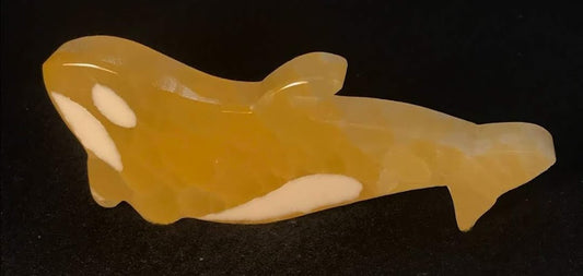 Orca Whale