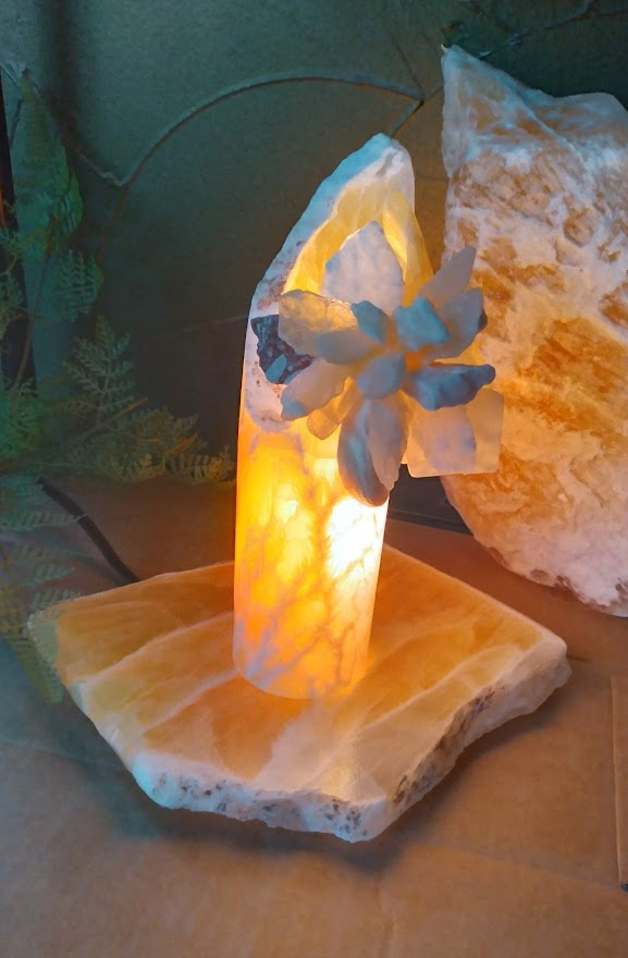 Bloom with Light Base