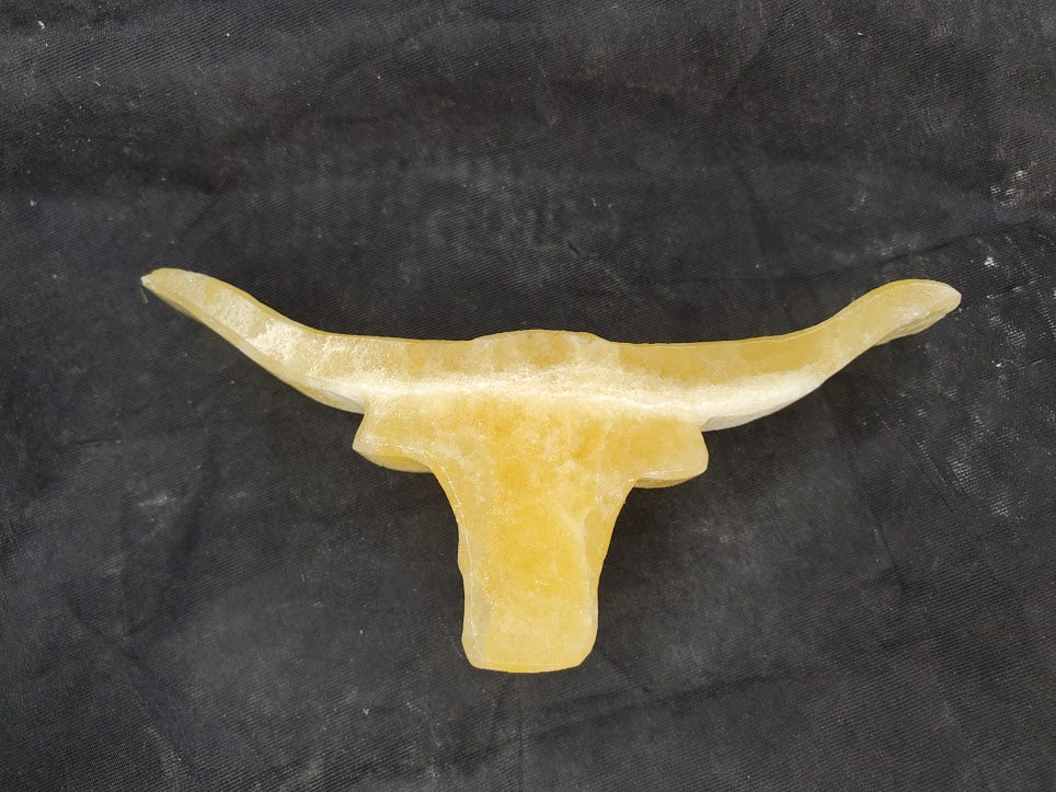Longhorn
