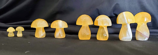 Mushrooms